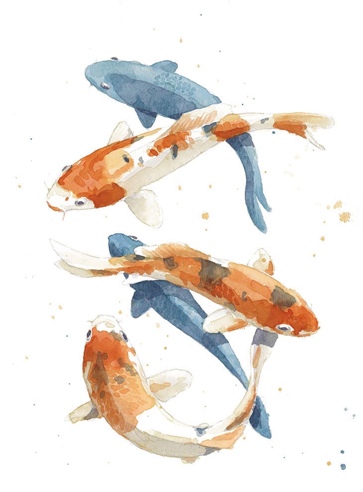 watercolor koi fish painting